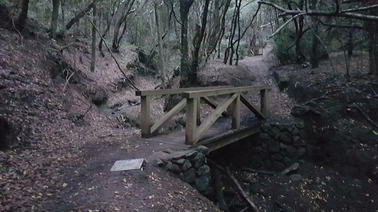 La Casita De Omar En El Corazon De Anaga Y La Laguna Las Mercedes エクステリア 写真