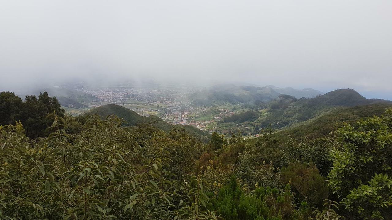 La Casita De Omar En El Corazon De Anaga Y La Laguna Las Mercedes エクステリア 写真