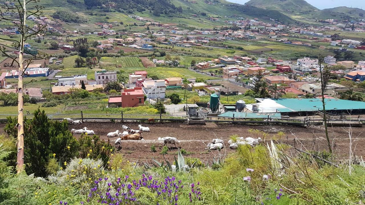 La Casita De Omar En El Corazon De Anaga Y La Laguna Las Mercedes エクステリア 写真